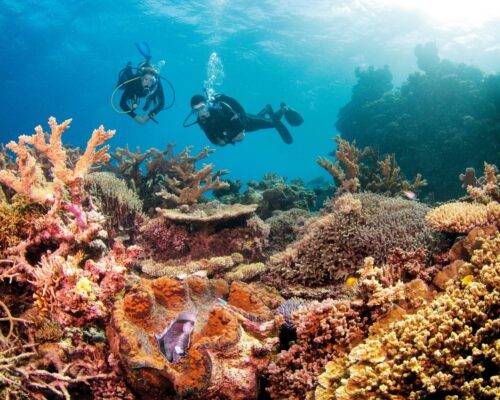 port-douglas-queensland-location-hp (21)