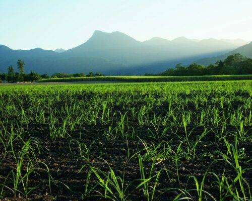 queensland-port-douglas-(106)